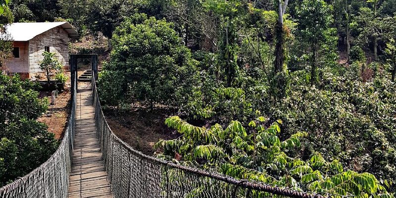 Acapetahua, Chiapas — Centro