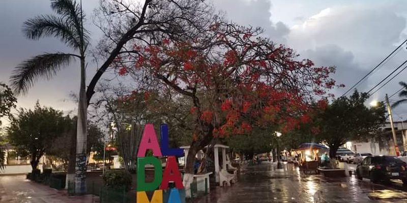 Aldama, Tamaulipas — Centro