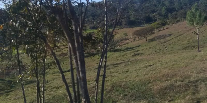 Altamirano, Chiapas — Panorama