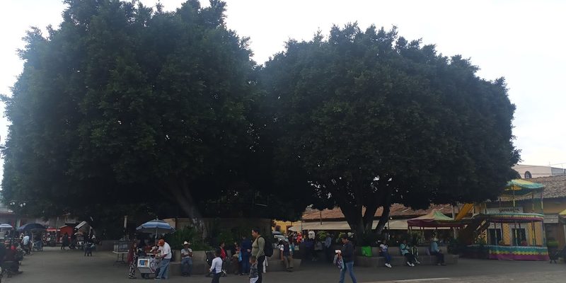 Álvaro Obregón, Michoacán — Panorama