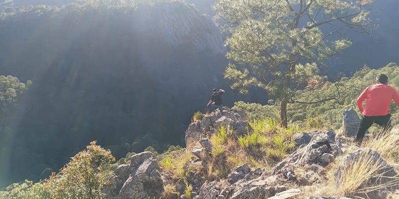 Angostura, Sinaloa — Centro