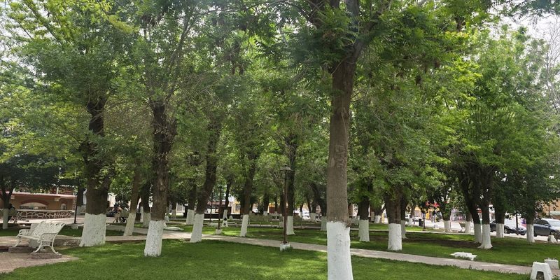 Ascensión, Chihuahua — Panorama