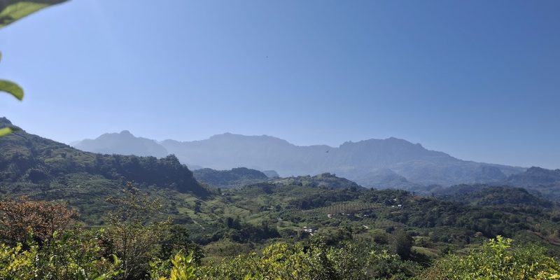 Atzalan, Veracruz — Centro
