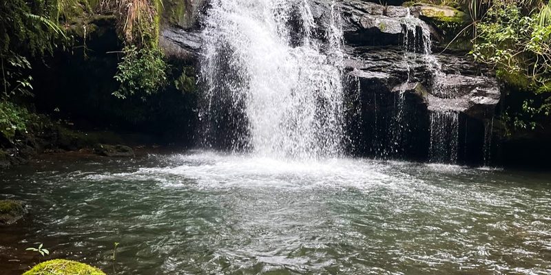 Ayahualulco, Veracruz — Centro