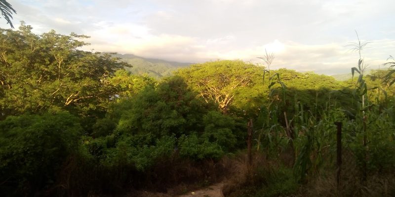 Azoyú, Guerrero — Centro