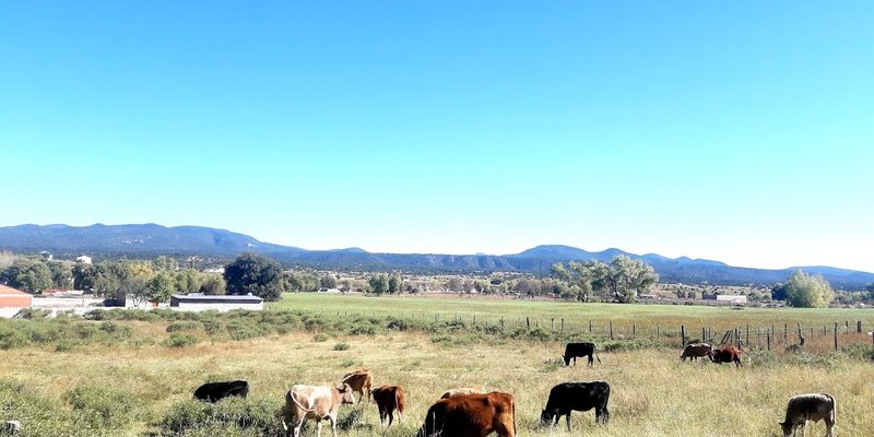 Carichí, Chihuahua — Panorama