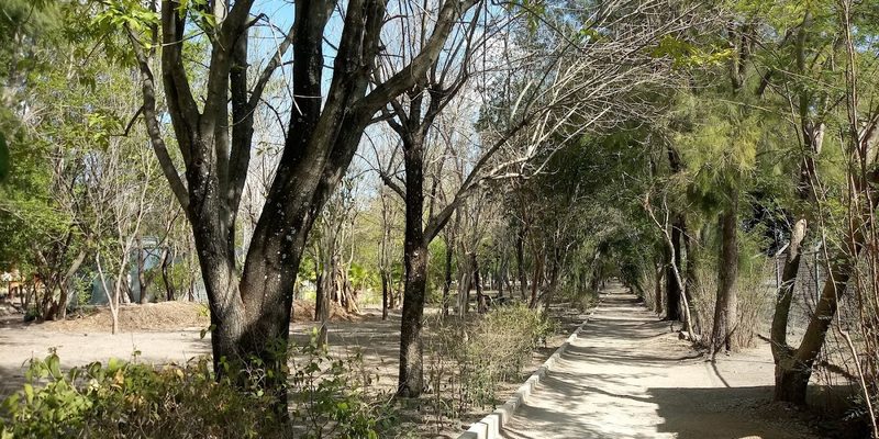 Cerritos, San Luis Potosí — Centro