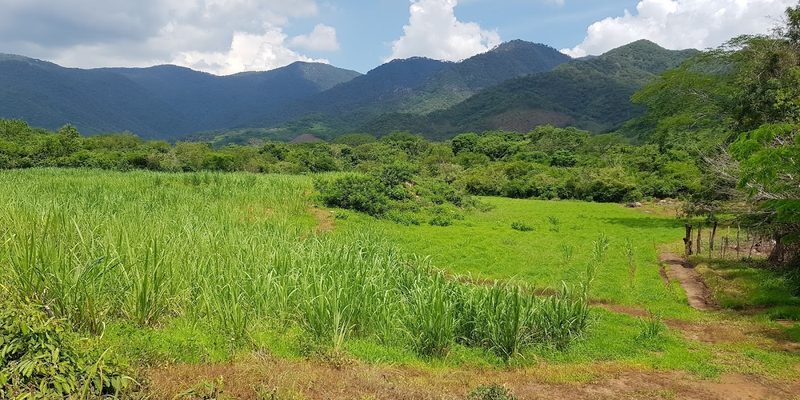 Coahuayutla de José María Izazaga, Guerrero — Skyline