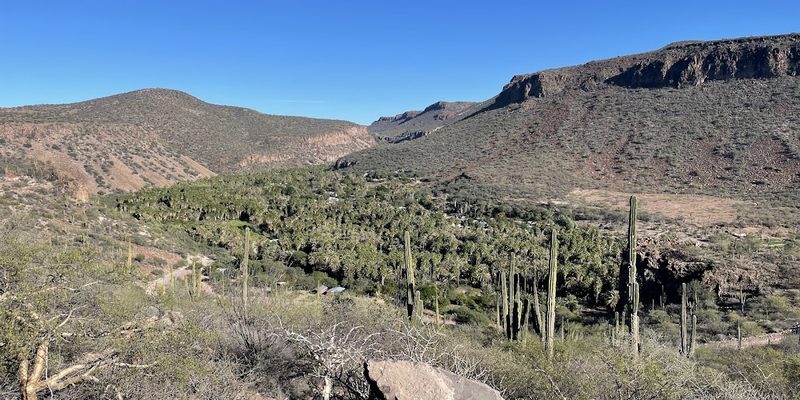 Comondú, Baja California Sur — Panorama