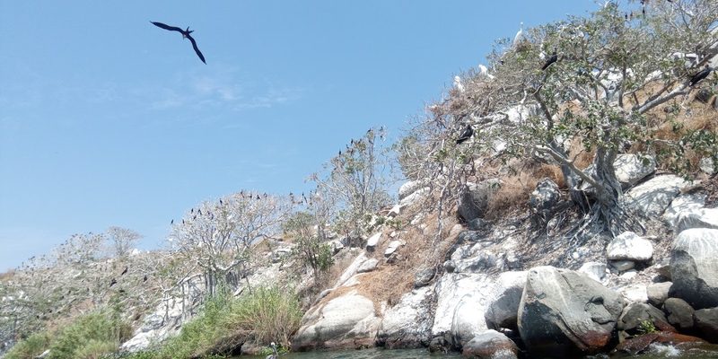 Coyuca de Benítez, Guerrero — Panorama