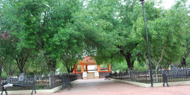 Doctor Coss, Nuevo León — Panorama