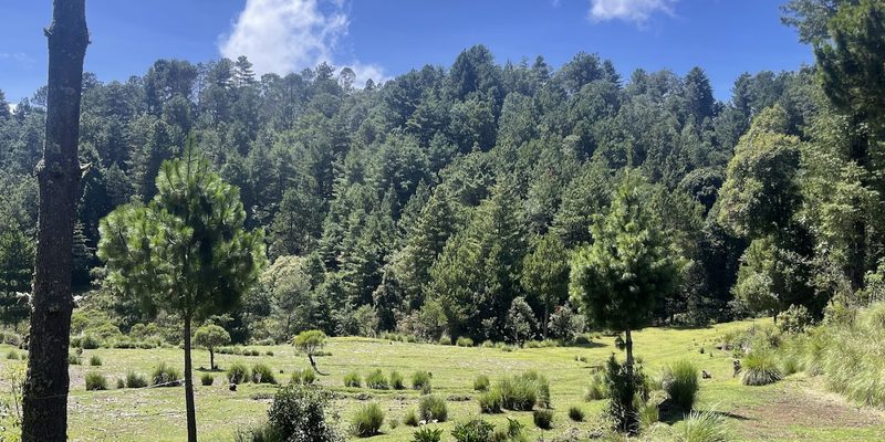 El Porvenir, Chiapas — Skyline
