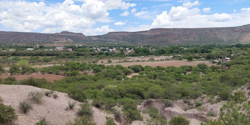 El Tule, Chihuahua — Centro