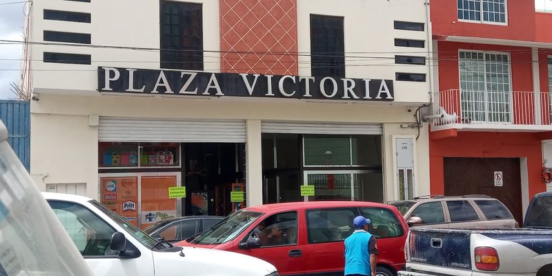 Guadalupe Victoria, Puebla — Panorama