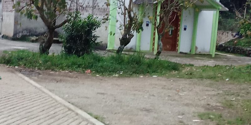 Hermenegildo Galeana, Puebla — Panorama