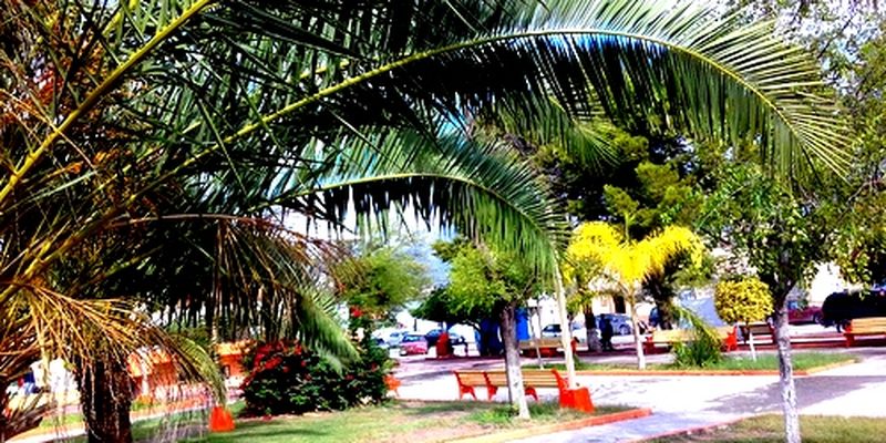 Hidalgo, Tamaulipas — Panorama