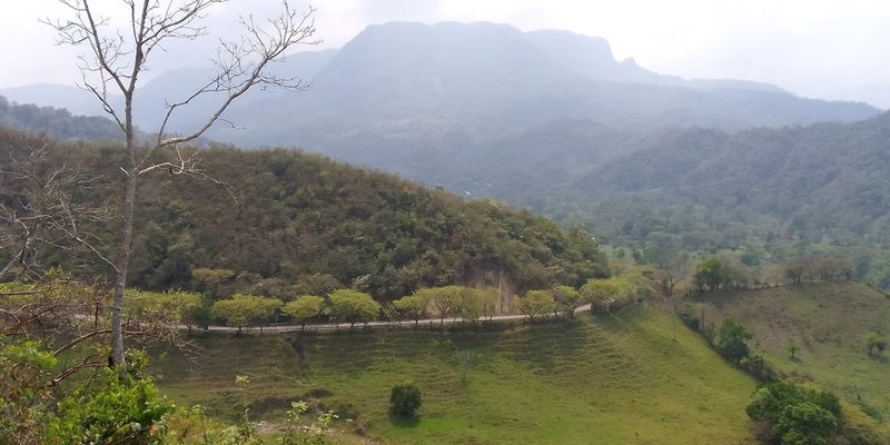 Huazalingo, Hidalgo — Centro