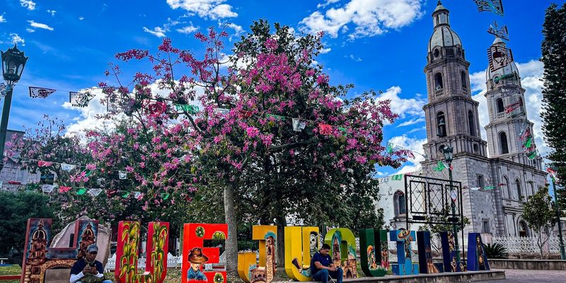 Huejuquilla el Alto, Jalisco — Centro