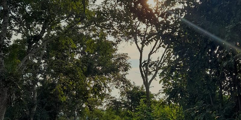 Ixcatepec, Veracruz — Centro