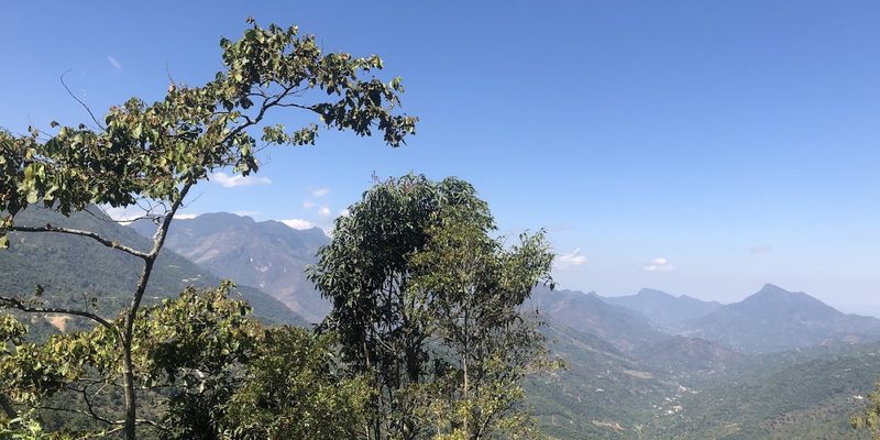 La Libertad, Chiapas — Centro