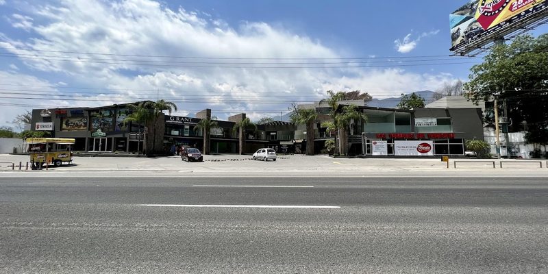 La Misión, Hidalgo — Skyline