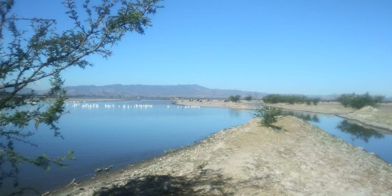 Magdalena, Jalisco — Centro