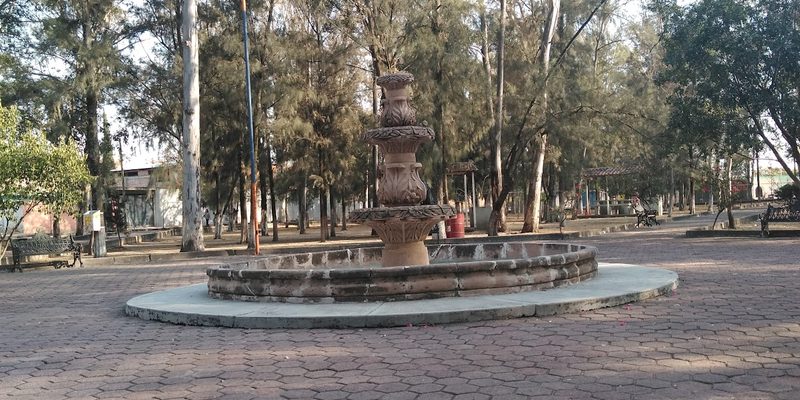 Manuel Doblado, Guanajuato — Centro