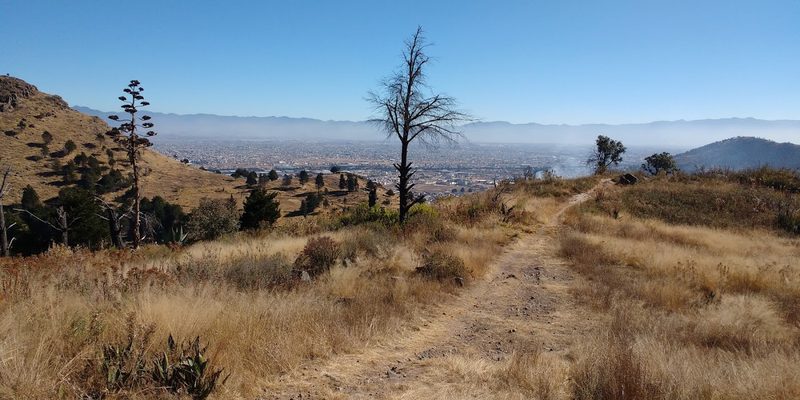 Morelos, Chihuahua — Centro