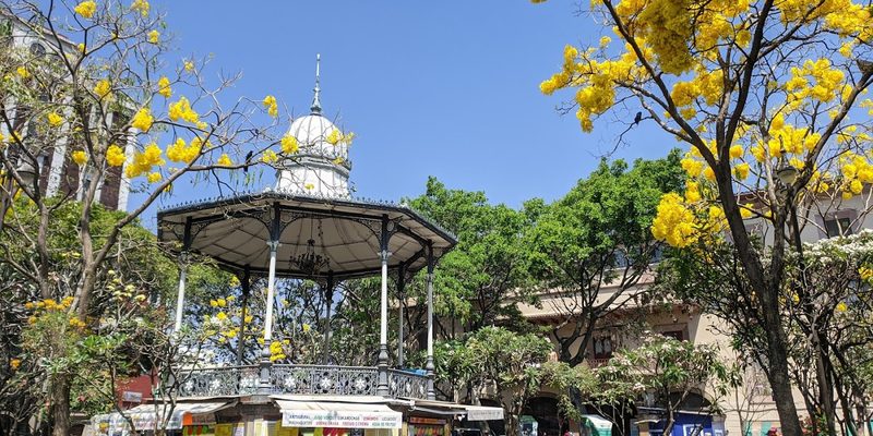 Morelos, Zacatecas — Panorama