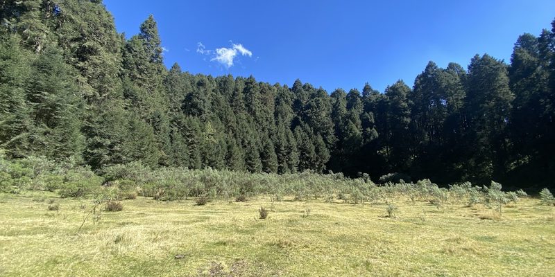 Nanacamilpa de Mariano Arista, Tlaxcala — Centro