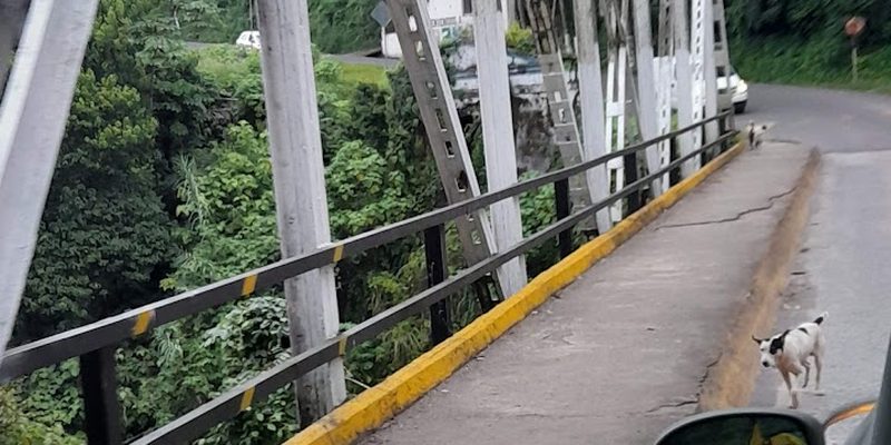 Naranjal, Veracruz — Panorama