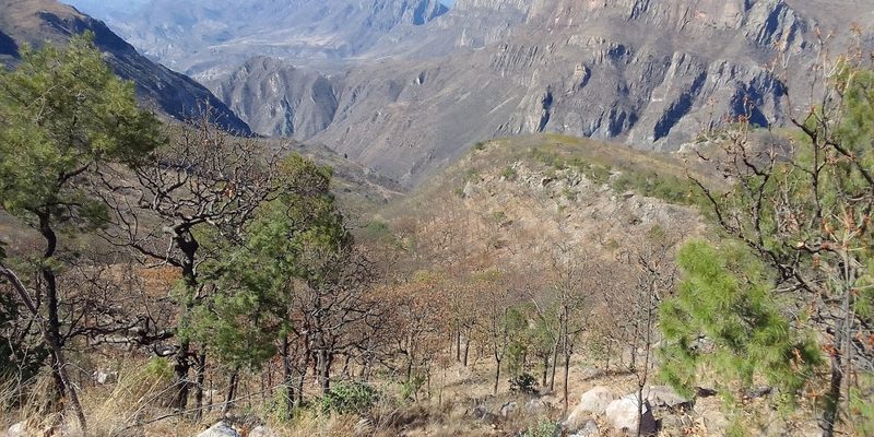 Nombre de Dios, Durango — Centro