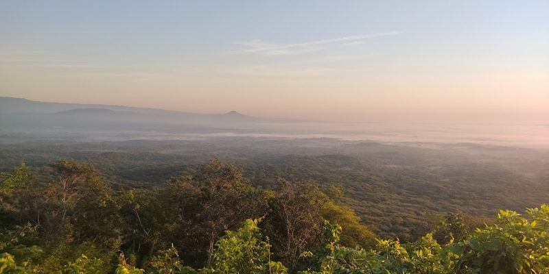 Ocampo, Tamaulipas — Centro