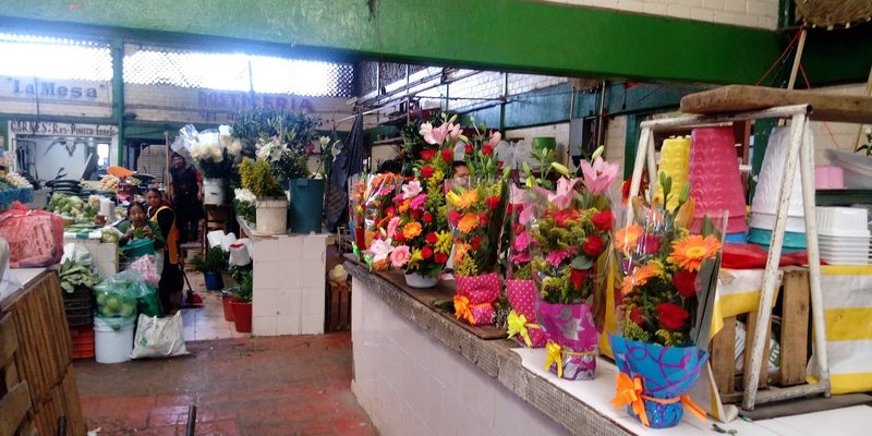 Ozumba, Estado de México — Skyline