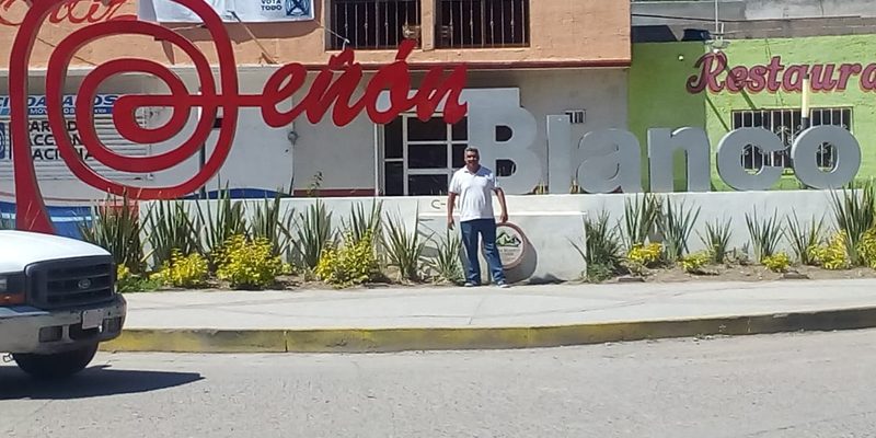 Peñón Blanco, Durango — Centro