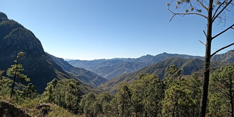 Pueblo Nuevo, Durango — Skyline