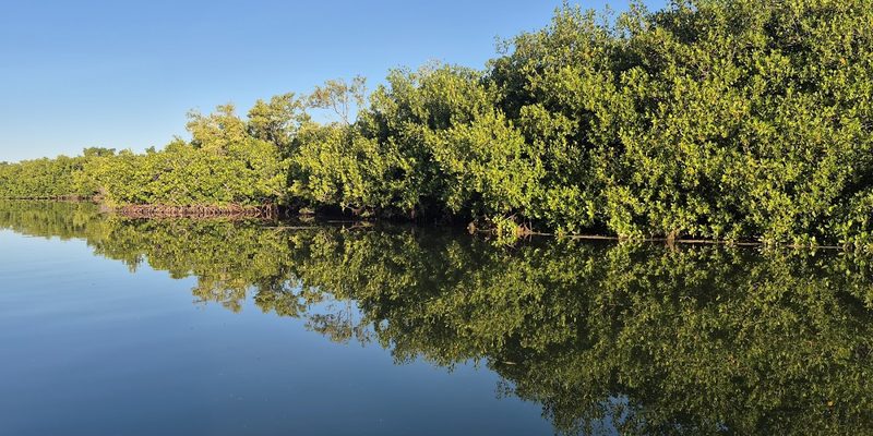Río Lagartos, Yucatán — Panorama