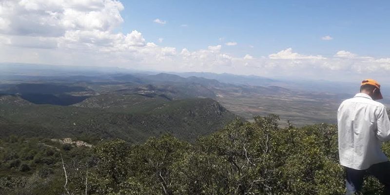 Sain Alto, Zacatecas — Centro