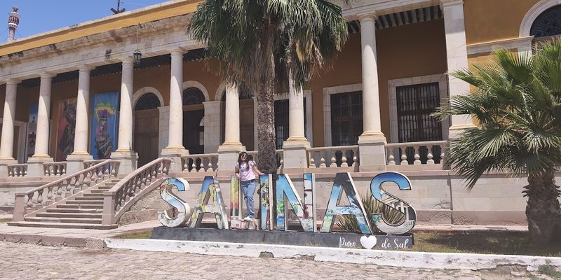 Salinas, San Luis Potosí — Centro