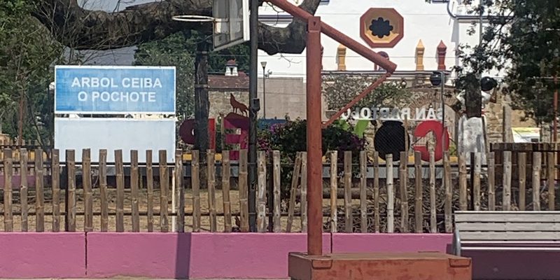 San Bartolo Coyotepec, Oaxaca — Skyline