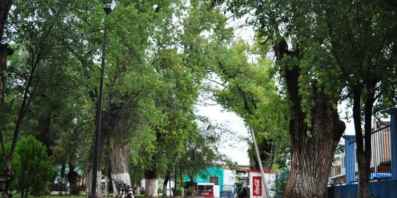 San Juan del Río, Durango — Centro