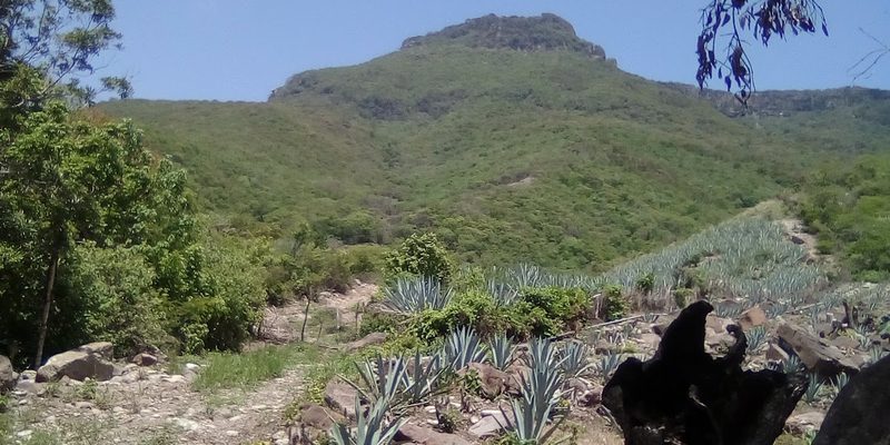 San Juan Lajarcia, Oaxaca — Skyline