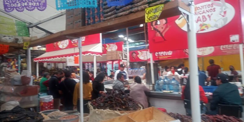 San Martín Texmelucan, Puebla — Centro