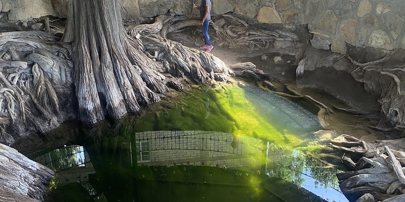 San Miguel Tilquiápam, Oaxaca — Centro