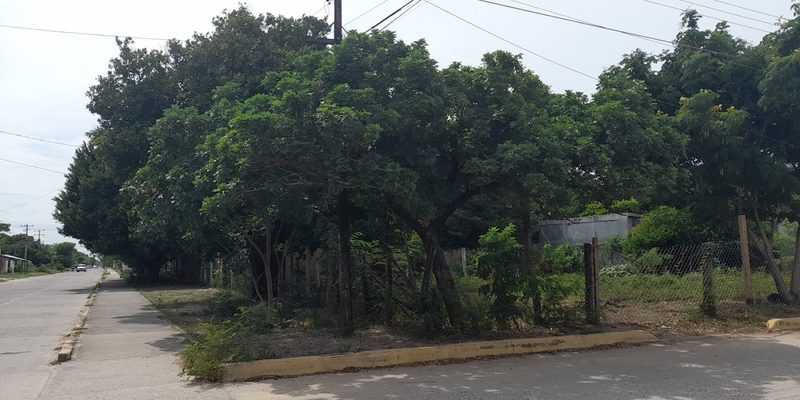 San Pedro Comitancillo, Oaxaca — Centro