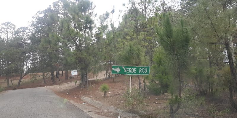 San Pedro el Alto, Oaxaca — Centro