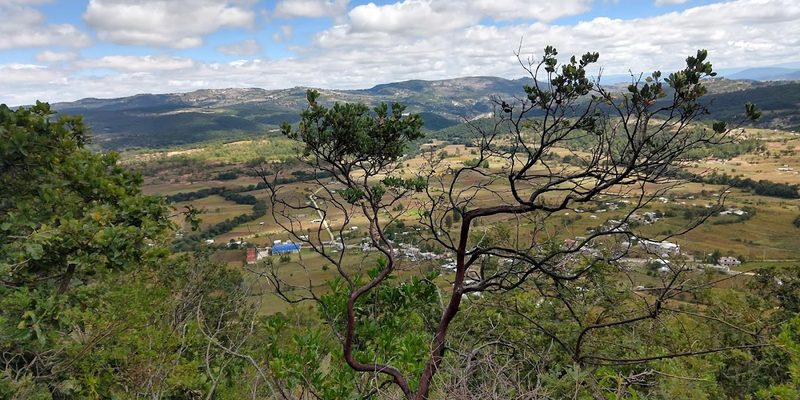 San Pedro Tidaá, Oaxaca — Centro