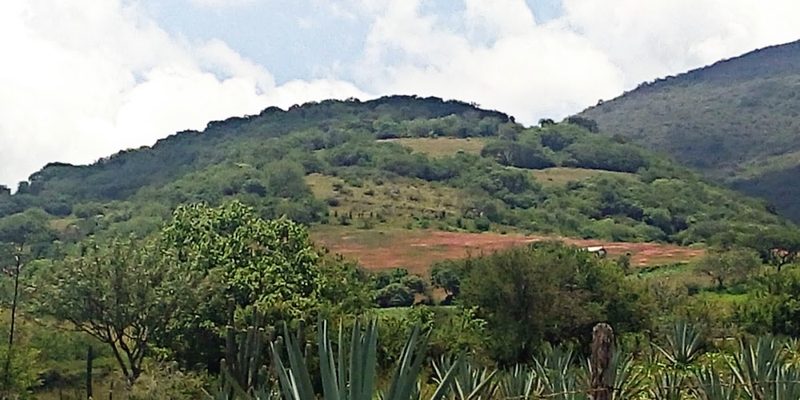 San Vicente Coatlán, Oaxaca — Skyline