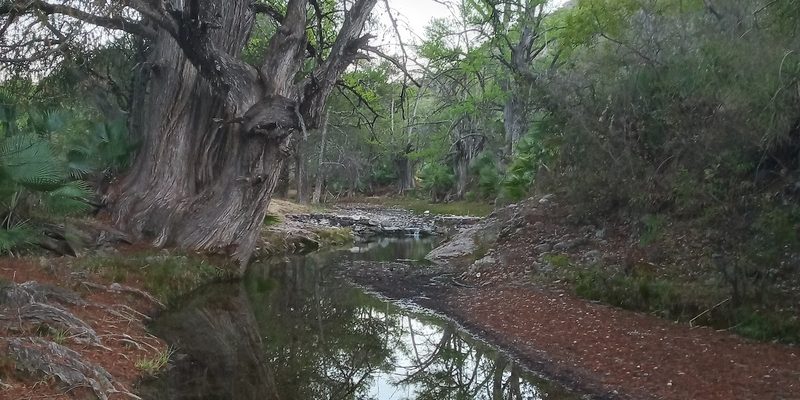 Santa Catarina Zapoquila, Oaxaca — Centro