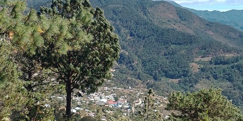 Santa Lucía Miahuatlán, Oaxaca — Centro